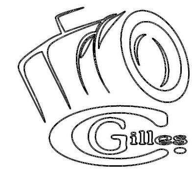 filigrane_gc_400.jpg