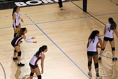 20180413_VolleyBall_Burdis_19_w.jpg 20180413_VolleyBall_Burdis_19_w.jpg