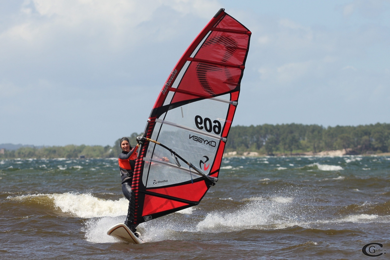 20160522_Sanguinet_036.jpg