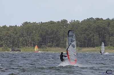 20160522_Sanguinet_016.jpg