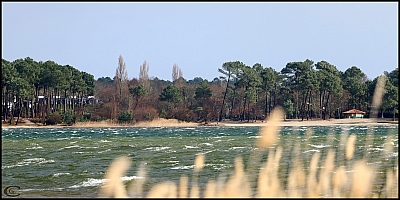 20170304_Sanguinet_02.jpg 20170304_Sanguinet_02.jpg