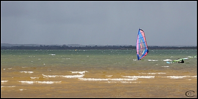 20170304_Sanguinet_17.jpg 20170304_Sanguinet_17.jpg