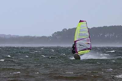 20170304_Sanguinet_25.jpg 20170304_Sanguinet_25.jpg