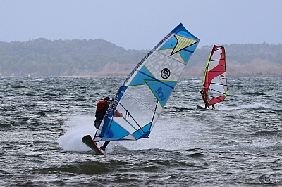 20170304_Sanguinet_26.jpg 20170304_Sanguinet_26.jpg