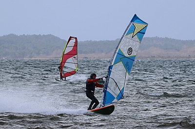 20170304_Sanguinet_27.jpg 20170304_Sanguinet_27.jpg