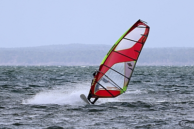 20170304_Sanguinet_33.jpg 20170304_Sanguinet_33.jpg