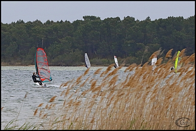 04/03/2017 - Windsurf, session à Sanguinet(40) v_20170501_Sanguinet_01.jpg