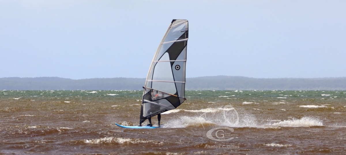 20190426_Sanguinet_051_ws_1200.jpg