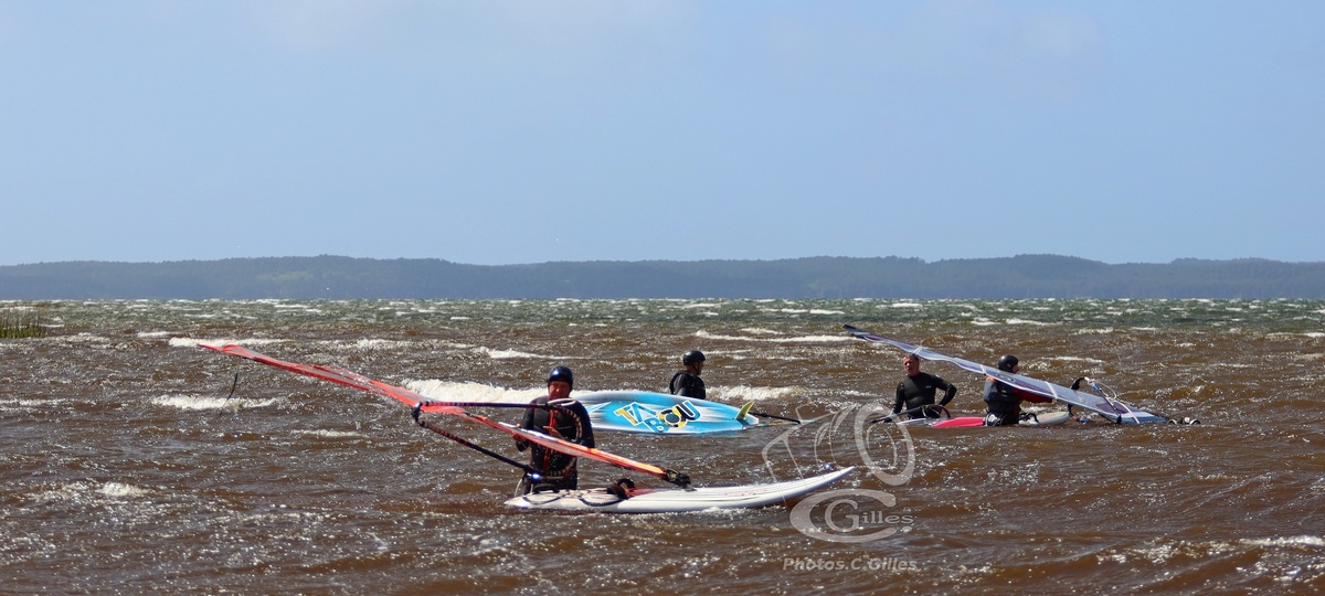 20190426_Sanguinet_130_ws_1200.jpg