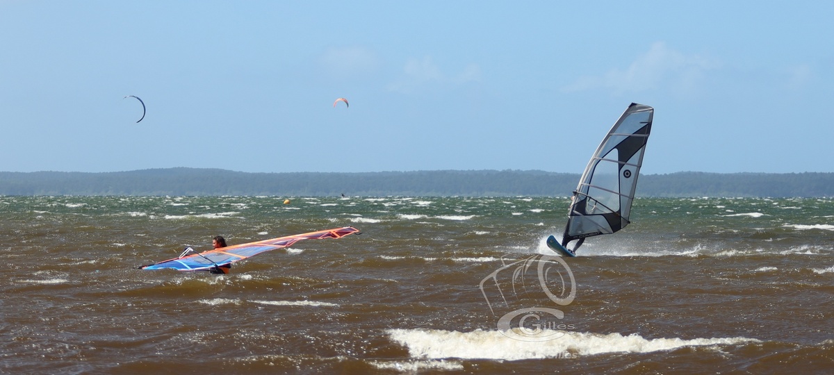 20190426_Sanguinet_131_ws_1200.jpg
