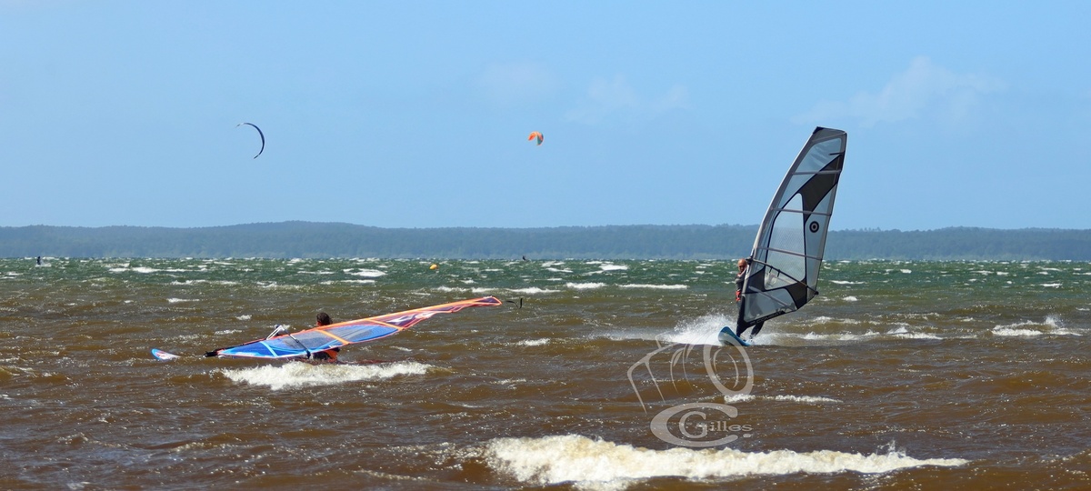 20190426_Sanguinet_132_ws_1200.jpg