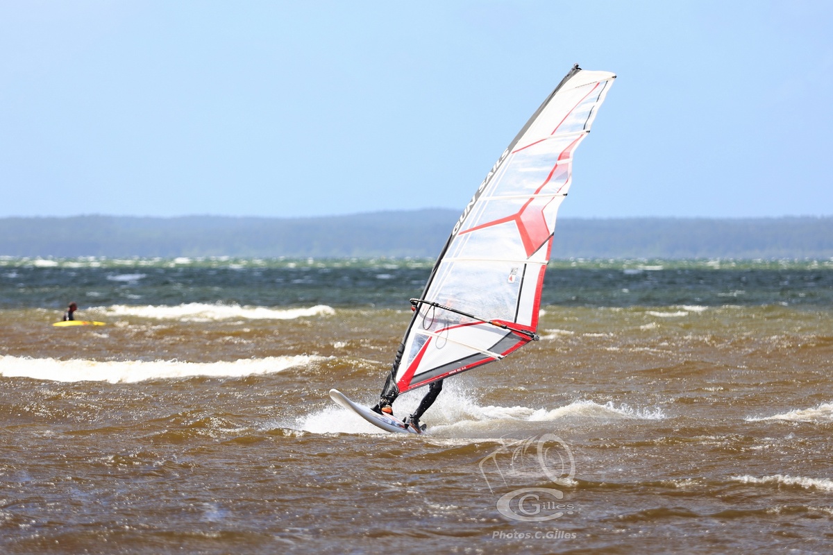 20190426_Sanguinet_141_ws_1200.jpg