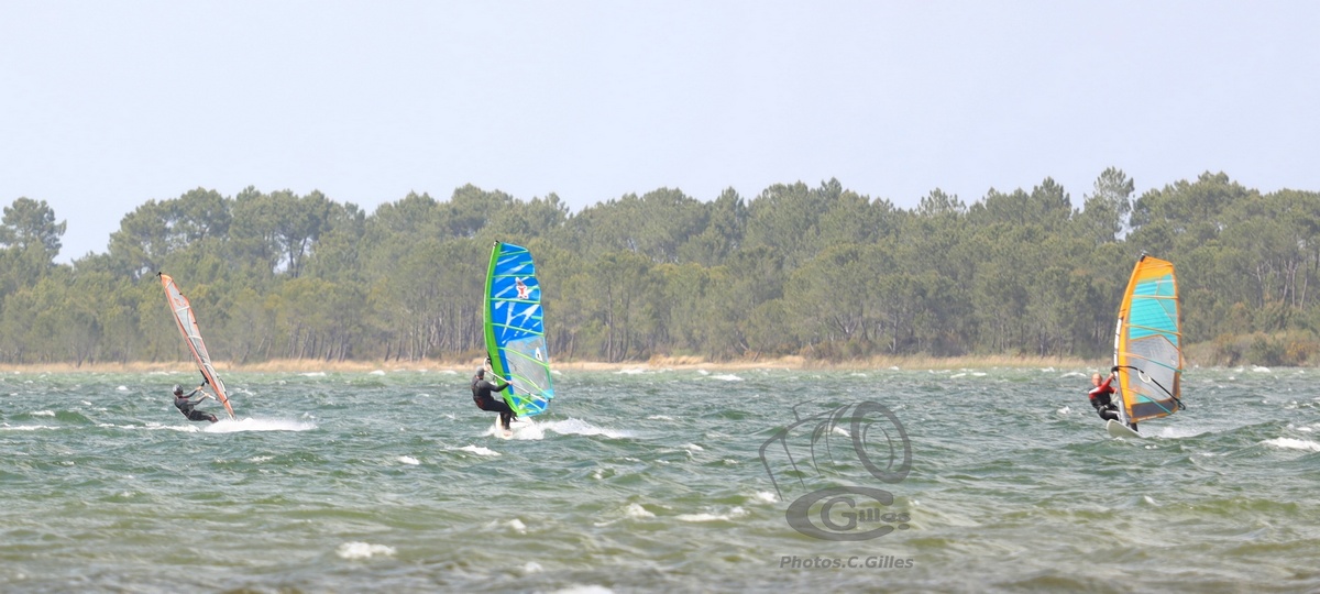 20190426_Sanguinet_264_ws_1200.jpg