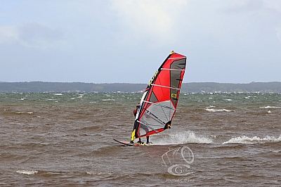 20190426_Sanguinet_020_ws_1200.jpg 20190426_Sanguinet_020_ws_1200.jpg