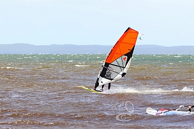 20190426_Sanguinet_047_ws_1200.jpg 20190426_Sanguinet_047_ws_1200.jpg
