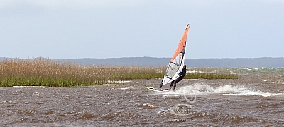 20190426_Sanguinet_053_ws_1200.jpg 20190426_Sanguinet_053_ws_1200.jpg
