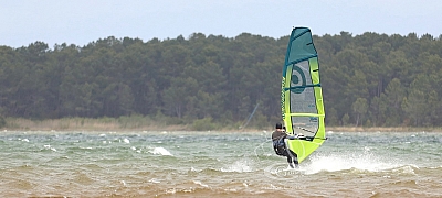 20190426_Sanguinet_072_ws_1200.jpg 20190426_Sanguinet_072_ws_1200.jpg