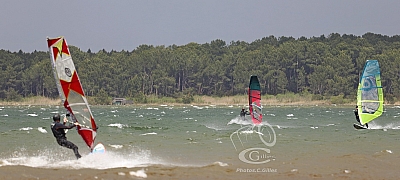 20190426_Sanguinet_094_ws_1200.jpg 20190426_Sanguinet_094_ws_1200.jpg