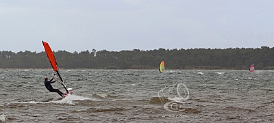 20190426_Sanguinet_111_ws_1200.jpg 20190426_Sanguinet_111_ws_1200.jpg