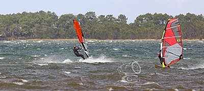 20190426_Sanguinet_127_ws_1200.jpg 20190426_Sanguinet_127_ws_1200.jpg