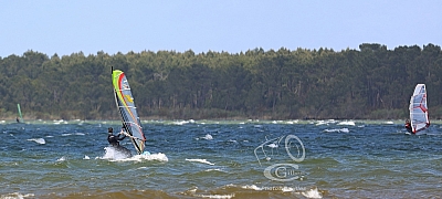 20190426_Sanguinet_140_ws_1200.jpg 20190426_Sanguinet_140_ws_1200.jpg