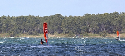 20190426_Sanguinet_143_ws_1200.jpg 20190426_Sanguinet_143_ws_1200.jpg