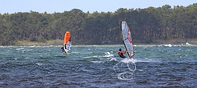 20190426_Sanguinet_148_ws_1200.jpg 20190426_Sanguinet_148_ws_1200.jpg