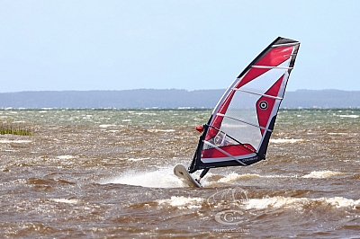 20190426_Sanguinet_156_ws_1200.jpg 20190426_Sanguinet_156_ws_1200.jpg
