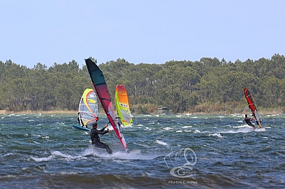 20190426_Sanguinet_161_ws_1200.jpg 20190426_Sanguinet_161_ws_1200.jpg