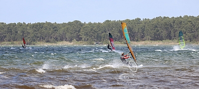 20190426_Sanguinet_162_ws_1200.jpg 20190426_Sanguinet_162_ws_1200.jpg