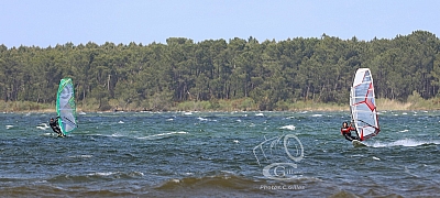 20190426_Sanguinet_166_ws_1200.jpg 20190426_Sanguinet_166_ws_1200.jpg