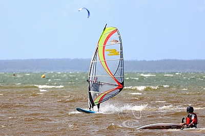 20190426_Sanguinet_168_ws_1200.jpg 20190426_Sanguinet_168_ws_1200.jpg