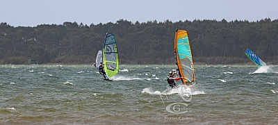 20190426_Sanguinet_242_ws_1200.jpg 20190426_Sanguinet_242_ws_1200.jpg