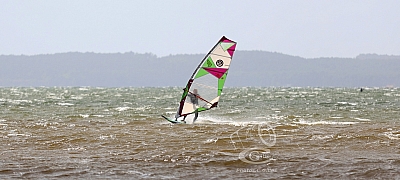 20190426_Sanguinet_245_ws_1200.jpg 20190426_Sanguinet_245_ws_1200.jpg
