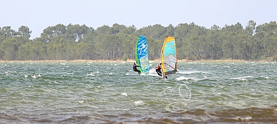 20190426_Sanguinet_265_ws_1200.jpg 20190426_Sanguinet_265_ws_1200.jpg